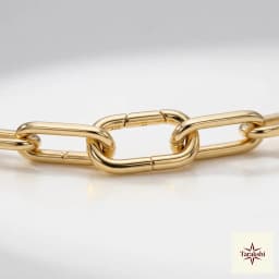 The Sleek Link Gold-Plated Silver Chain Necklace thumbnail 2