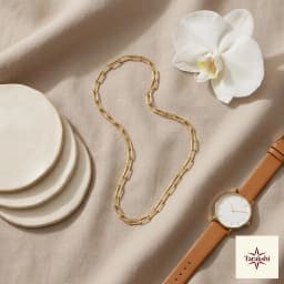 The Sleek Link Gold-Plated Silver Chain Necklace thumbnail 3