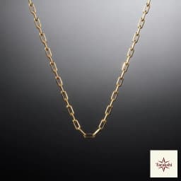 The Sleek Link Gold-Plated Silver Chain Necklace thumbnail 1